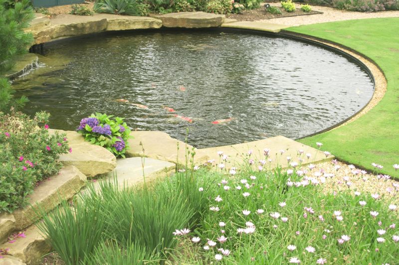 Cost of Pond Installation — Cost of Pond Installation