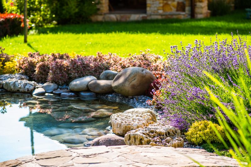 Natural Pond Design