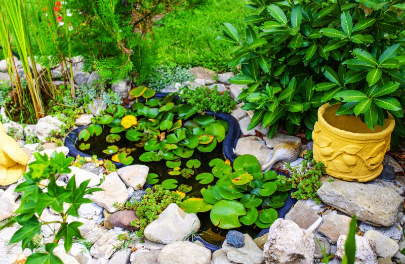 Lush Pond Landscaping