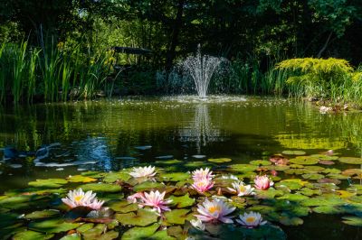 Enjoy Nature's Beauty!